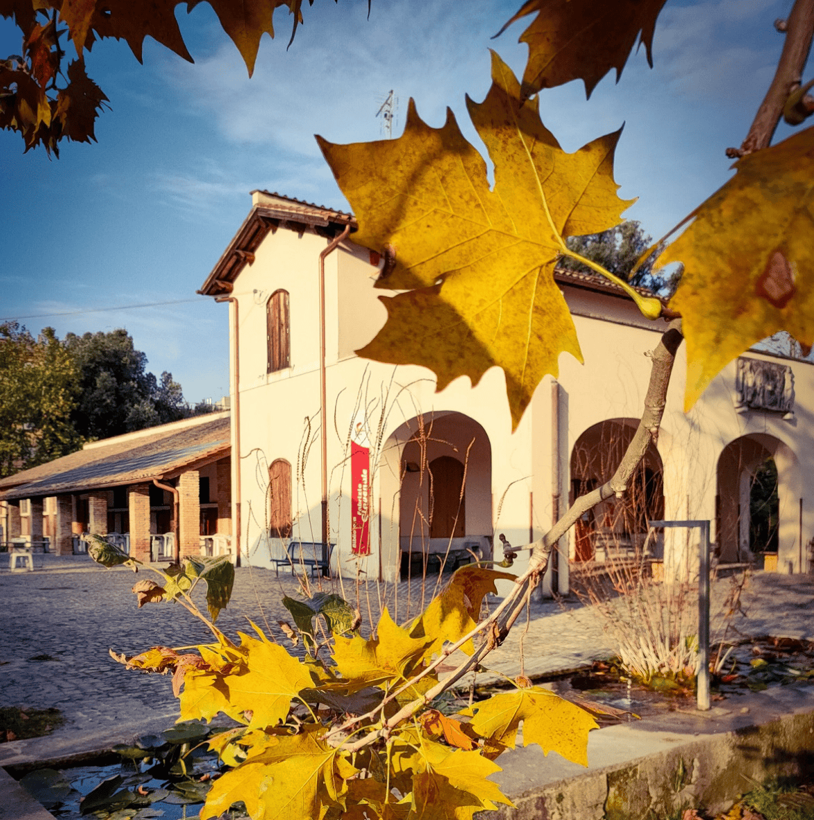 Biblioteca Fabrizio Giovenale
